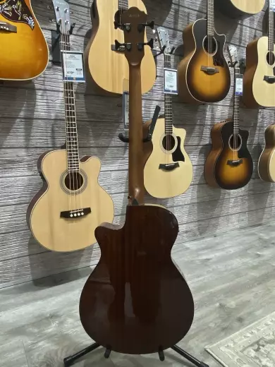 Ibanez - AEGB24EMHS 3